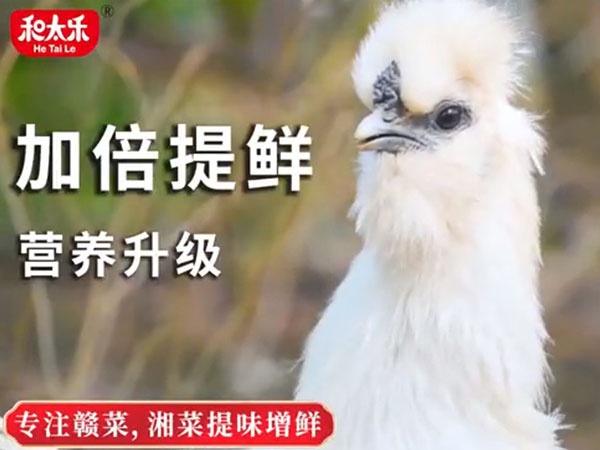 和太樂(lè)烏雞精介紹