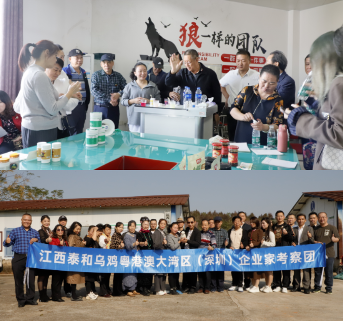 1700818111267694.png image.png